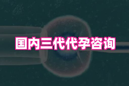河南助孕网站 1