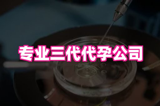 河南助孕网站 2