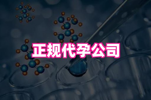河南助孕网站 3