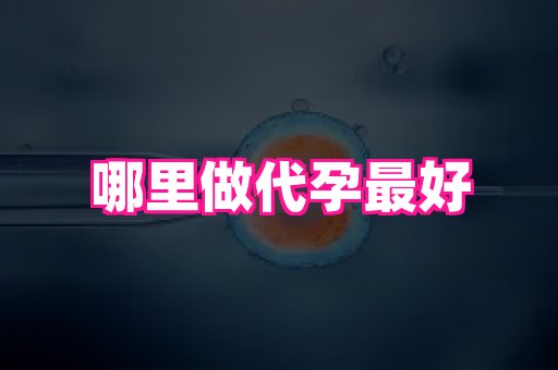 河南助孕网站 4